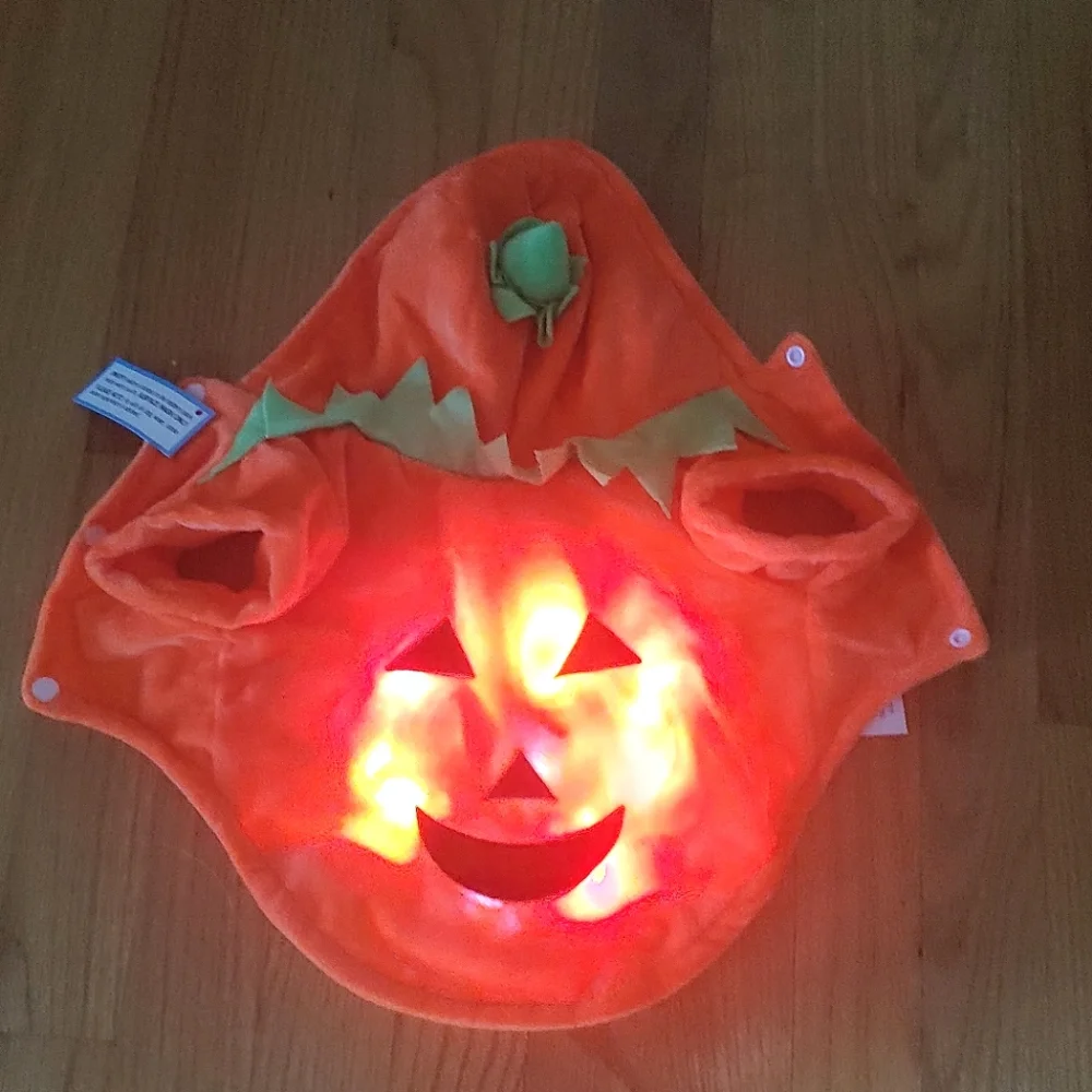 Dog Halloween Costume Jack O' Lantern LED Light up Pumpkin X-SMALL XS